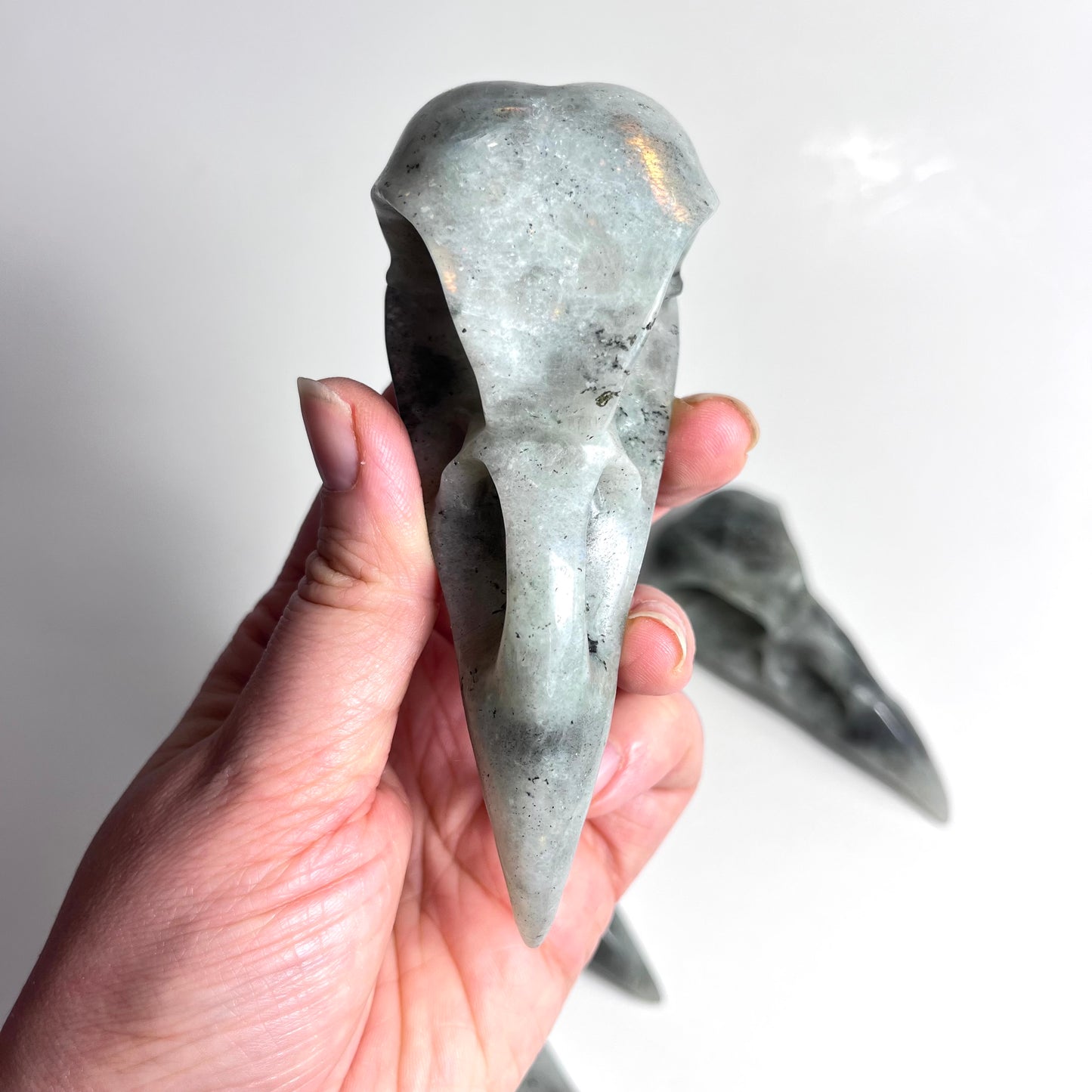 Labradorite | Raven Skull Large