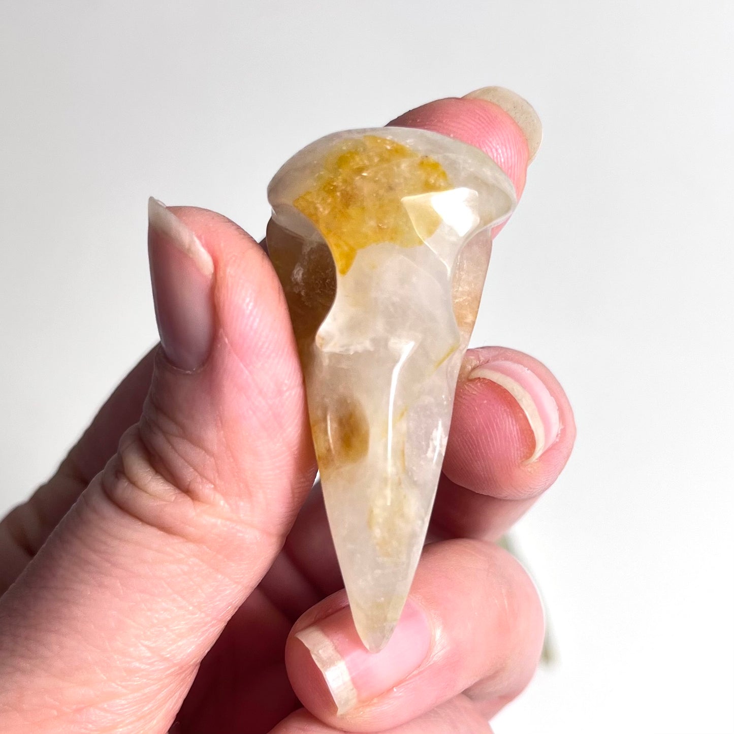 Golden Healer Quartz | Raven Skull Medium