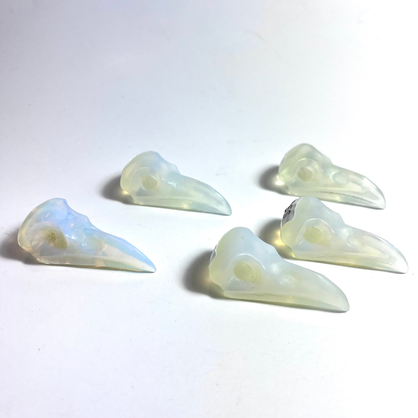 White Opalite | Raven Skull Medium